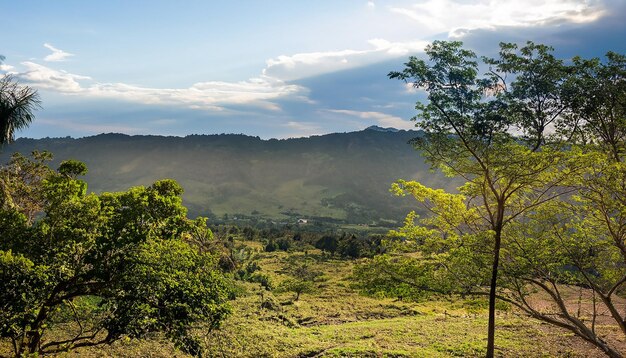 Foto naturlandschaft