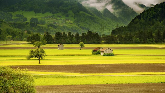 Naturlandschaft