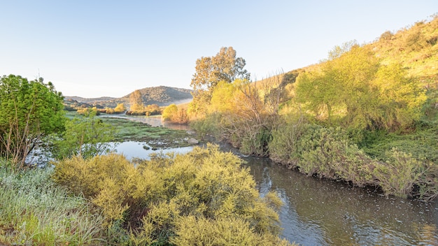 Naturlandschaftshintergrund eines Flusses mit Vegetation von verschiedenen Grüns im Herbst bei Sonnenaufgang in Badajoz Spanien