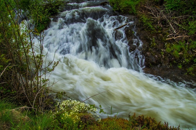 Naturpark der Vulkane der Auvergne