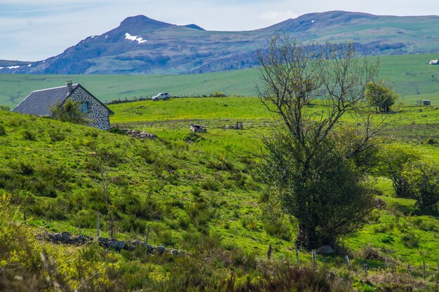 Naturpark der Vulkane der Auvergne