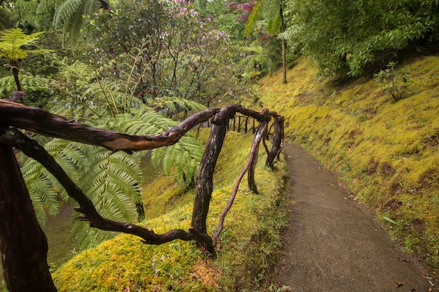 Naturpark Terra Nostra