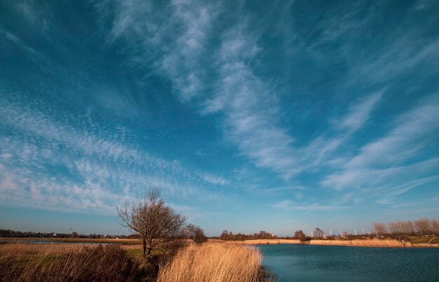 Naturparkgebiet von Ishoj Dänemark