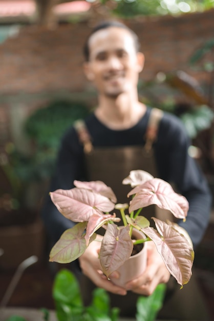 Naturpflanzen-Gartenhobby, glücklicher Menschenlebensstil mit wachsendem blumengrünem Blatt und Landwirtschaftsarbeit im Sommer, Umweltkonzept zu Hause im Hobby