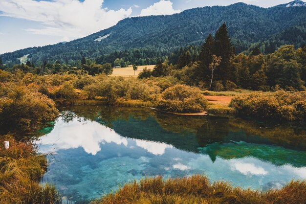 Naturschutzgebiet Zelenci krajnska gora Slowenien Europa Wunderbarer Morgenblick auf das Naturschutzgebiet Zelenci Slowenien reisen