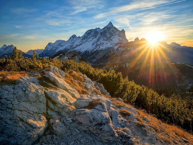 Naturtapeten, schöne Naturtapeten, 4k-Naturtapeten, HD-Naturtapeten, grüne Natur