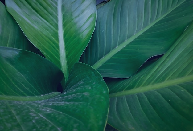 Natururlaub für abstrack Hintergrund