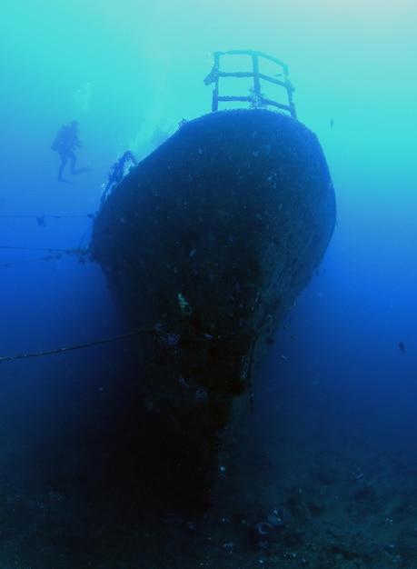 Naufrágio do navio Boga. Vida marinha de Tulamben, Bali, Indonésia.