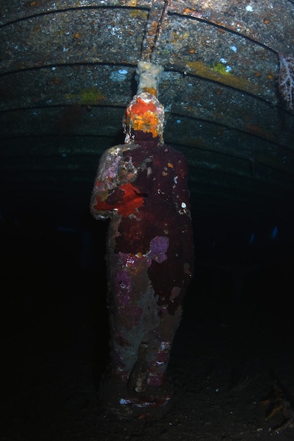 Naufrágio do navio Boga. Vida marinha de Tulamben, Bali, Indonésia.