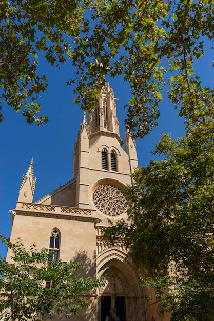 Navegue pelas ruas estreitas de Maiorca, testemunhando a mistura da cultura balear e da magnificência arquitetônica em cada curva.