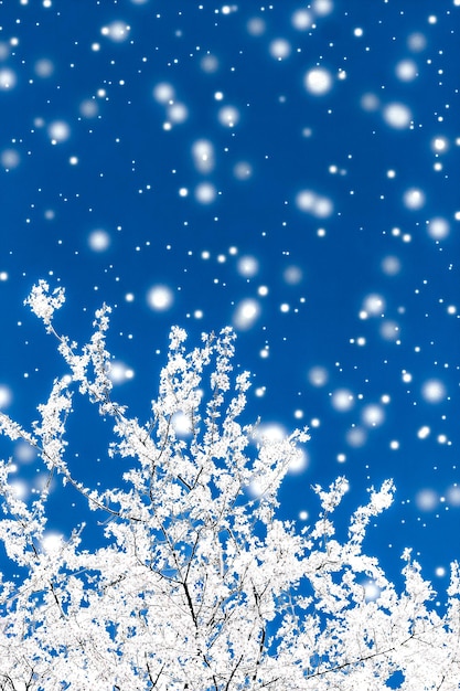 Navidad año nuevo fondo floral azul diseño de tarjeta de vacaciones árbol de flores y brillo de nieve como telón de fondo de promoción de venta de temporada de invierno para marca de belleza de lujo