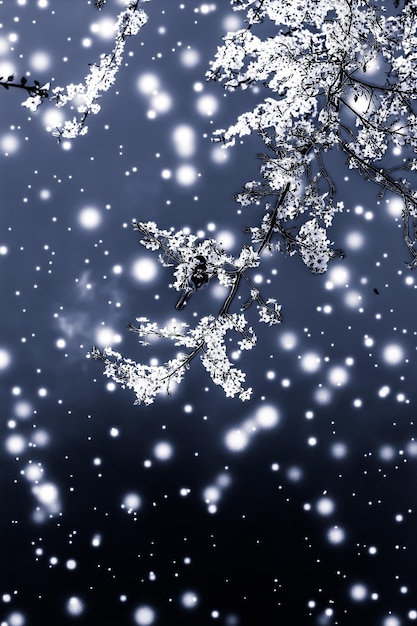 Navidad año nuevo fondo floral negro diseño de tarjeta de vacaciones árbol de flores y brillo de nieve como telón de fondo de promoción de venta de temporada de invierno para marca de belleza de lujo