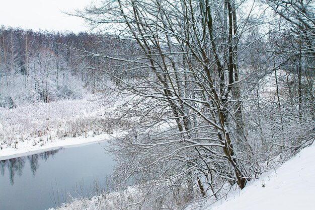 Navidad de invierno y año nuevo El espejo del río del bosque revela muchos secretos místicos en un día de invierno Paisaje de invierno