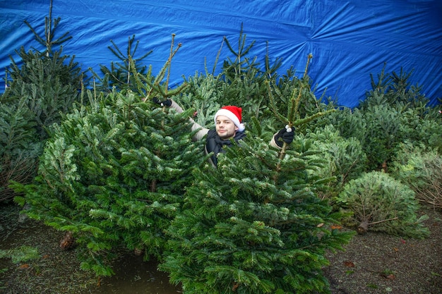 Navidad. Un joven está sentado en los árboles de Navidad, con un gorro de Papá Noel. mercado, negocio.