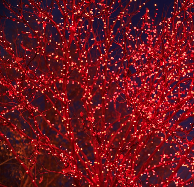 Navidad. Luces rojas de Navidad en un árbol en un cielo azul oscuro