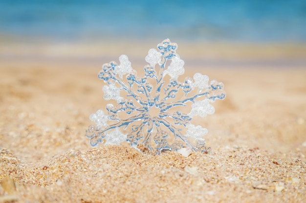 Navidad en la playa. Viajes. Naturaleza de enfoque selectivo