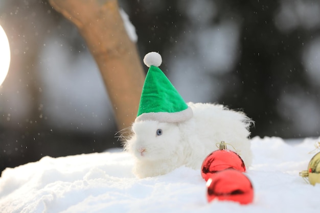 Navidad, Santa Claus conejo blanco en la nieve.