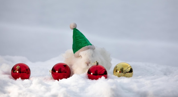 Navidad, Santa Claus conejo blanco en la nieve.