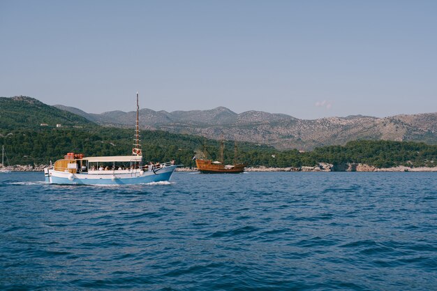 Navios de recreio azuis e marrons navegam na água contra uma floresta verde em um dia ensolarado