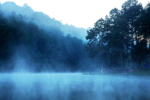 Nebel am Morgen der Natur.