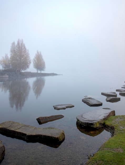 Nebel am Phoenixsee in Dortmund Deutschland