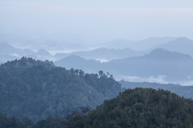 Nebel auf Berg Thailand