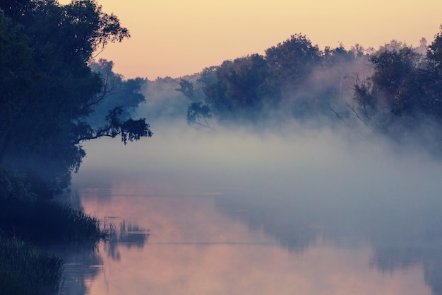 Nebel auf dem Fluss