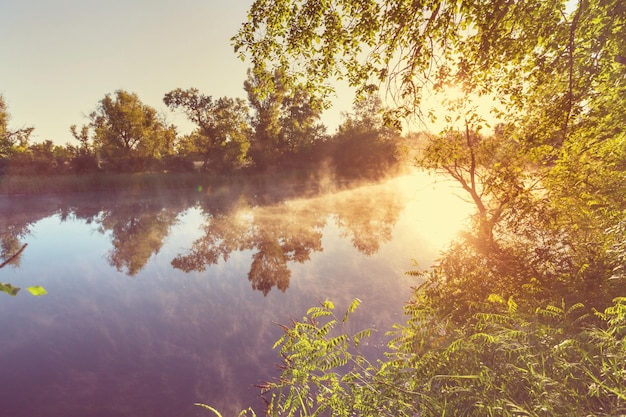 Nebel auf dem Fluss