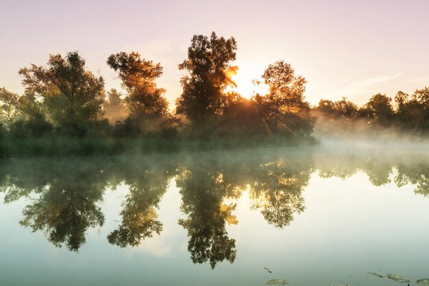 Nebel auf dem Fluss