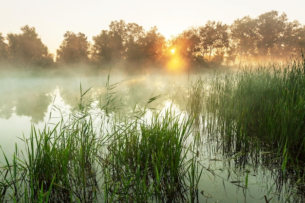 Nebel auf dem Fluss