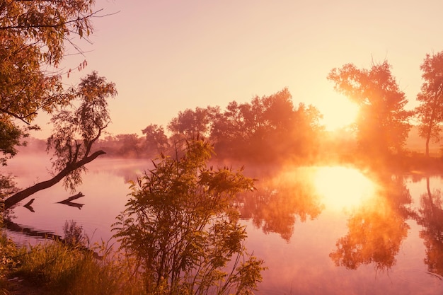 Nebel auf dem Fluss