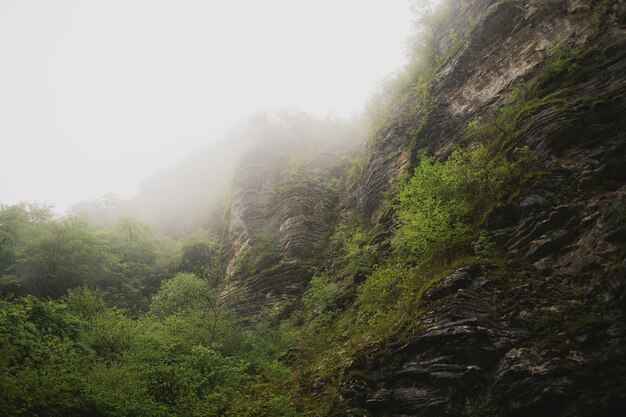 Nebel auf Felsen