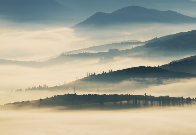 Nebel bedeckt die grünen Berge