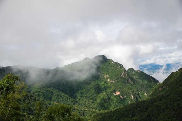 Nebel bedeckte die grünen Berge nach dem Regen.