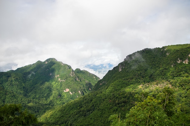 Nebel bedeckte die grünen Berge nach dem Regen.