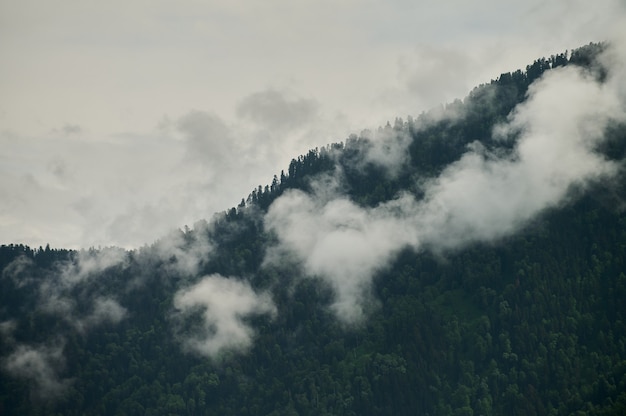 Nebel im Bergtal. Morgennebel über dem See im Altai-Gebirge.