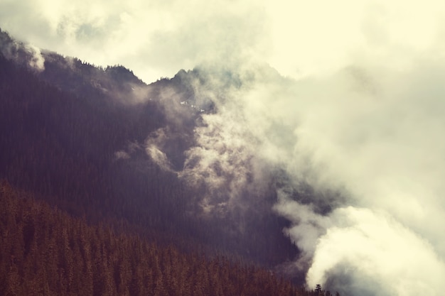 Nebel im Hochgebirge