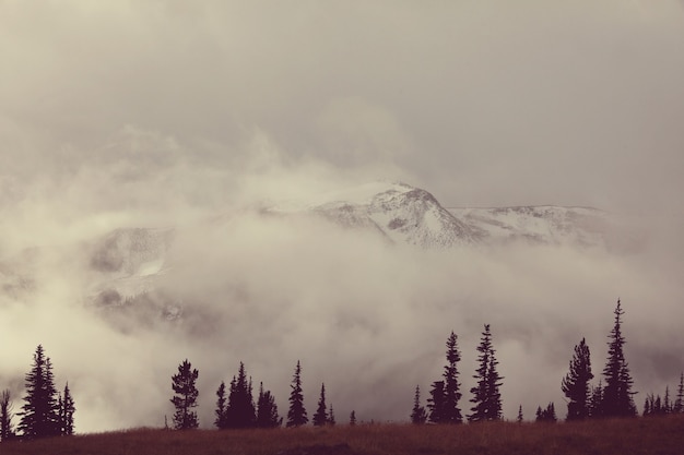 Nebel im Hochgebirge