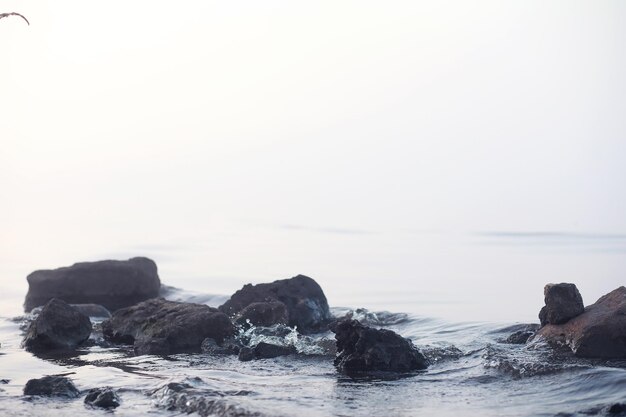 Nebel im See. Morgennaturwasser und weißer Nebel.