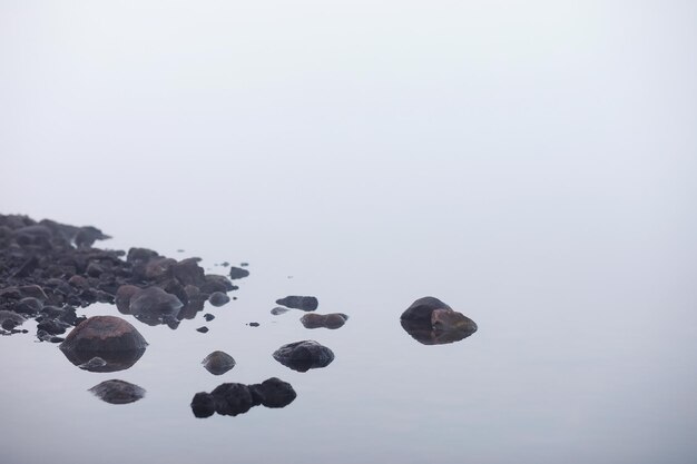 Nebel im See. Morgennaturwasser und weißer Nebel.