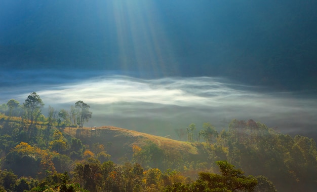 Nebel im Tal und Morgenlicht