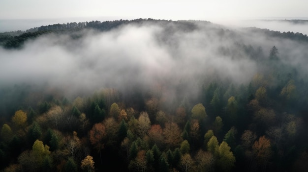 Nebel im Wald Luftbild Generative KI