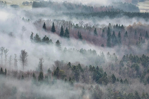 Nebel in den Bergen