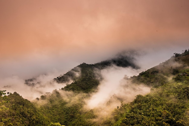 Foto nebel in den kolumbianischen (anden) bergen