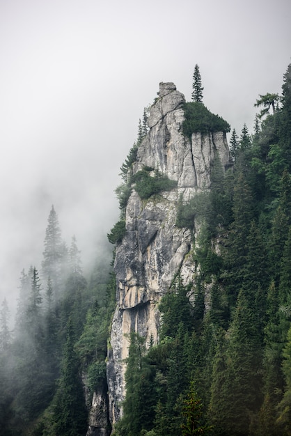 Nebel in hoher Berglandschaft. Überhängende Klippen mit Baum.