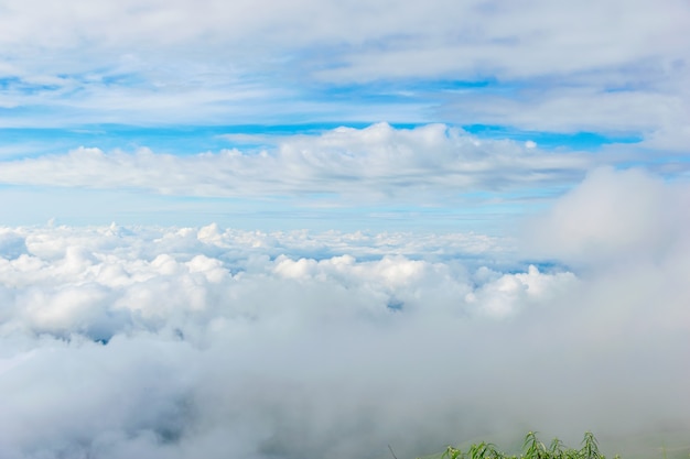 Nebel Natur und der Himmel hell