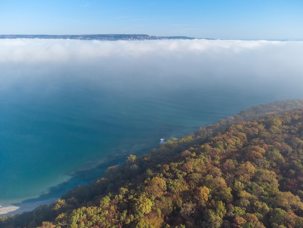 Nebel über dem Meer und Wald am Ufer Luftbild