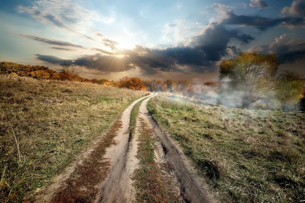 Nebel über Landstraße in einer Landschaft