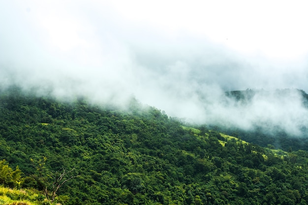 Foto nebel und berge, die sich um die jahreszeit einsamer menschen kümmern, der tag des festivals.