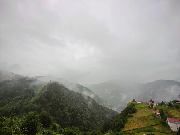 Foto nebel und landschaft